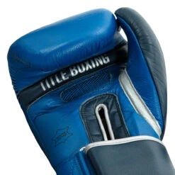 TITLE Boxing Royalty Leather Bag Gloves -Power Punch rybg ry nv 05