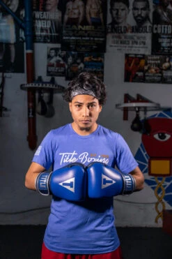 TITLE Boxing Royalty Leather Bag Gloves -Power Punch rybg 3