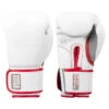TITLE Boxing Gel Special Edition Bag Gloves -Power Punch setgbg sv wh rd 01