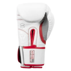 TITLE Boxing Gel Special Edition Bag Gloves -Power Punch setgbg sv wh rd 04