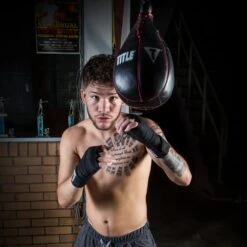 TITLE Boxing Professional Slip Ball -Power Punch slpb 2