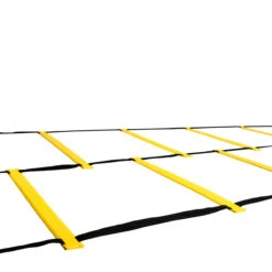 TITLE Boxing Double Speed & Agility Ladder 2.0 -Power Punch sqld2 2