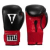 TITLE Boxing Infused Foam Youth Training/Sparring Gloves -Power Punch tifysg rd bk 01
