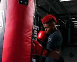 TITLE Boxing Synthetic Leather Heavy Bag (Unfilled) -Power Punch uftshb bk rd 2