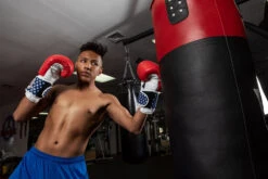 TITLE Boxing USA Leather Bag Gloves -Power Punch usabg replace the current