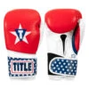 TITLE Boxing USA Leather Bag Gloves -Power Punch usabg 01