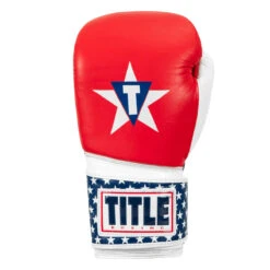 TITLE Boxing USA Leather Bag Gloves -Power Punch usabg 03