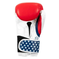 TITLE Boxing USA Leather Bag Gloves -Power Punch usabg 04