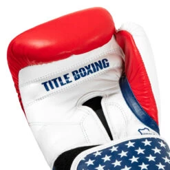 TITLE Boxing USA Leather Bag Gloves -Power Punch usabg 05