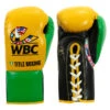 WBC By TITLE Boxing Jose Sulaiman Leather Gloves -Power Punch wbcjsg gd bk 01