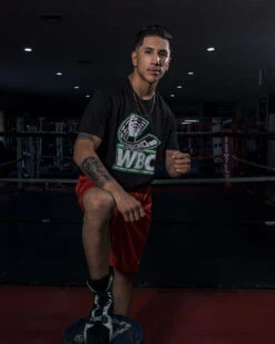 WBC By TITLE Boxing Flag Tee -Power Punch wbct2