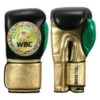 WBC By TITLE Boxing Green Belt Bag Gloves 2 WBC By TITLE Boxing Green Belt Bag Gloves -Power Punch wgbbg bk gd gn 1 2