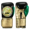WBC By TITLE Boxing Green Belt Training Gloves 1.0 -Power Punch wgbtg bk gd gn 1 1