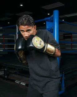 WBC By TITLE Boxing Green Belt Training Gloves 1.0 -Power Punch wgbtg bk 1 1