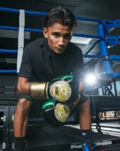 WBC By TITLE Boxing Green Belt Training Gloves 1.0 -Power Punch wgbtg bk 2 1