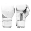 TITLE White Boxing Bag Gloves 2.0 -Power Punch whbg2 001
