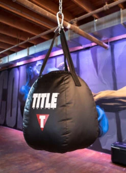 TITLE Boxing Wrecking Ball Heavy Bag -Power Punch wrbhb 2