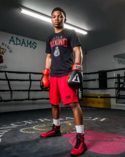 TITLE Boxing Pro Style Heavy Bag Gloves -Power Punch xtsg bk rd 2