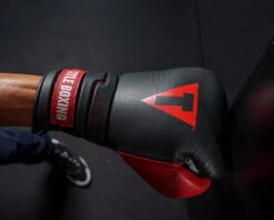 TITLE Boxing Z-FLY Bag Gloves -Power Punch zflybg bk rd 6 1